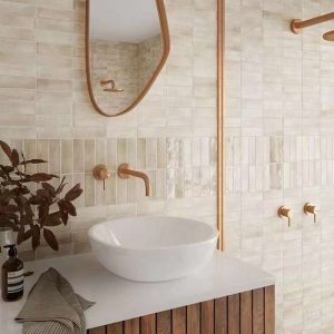 Stepoint Ideal Basin